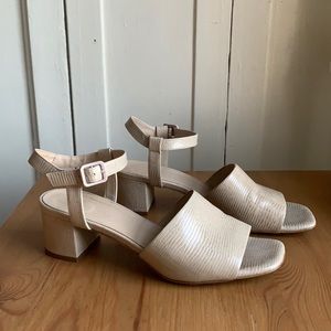 Everlane Block Heel Sandal in Sand Lizard